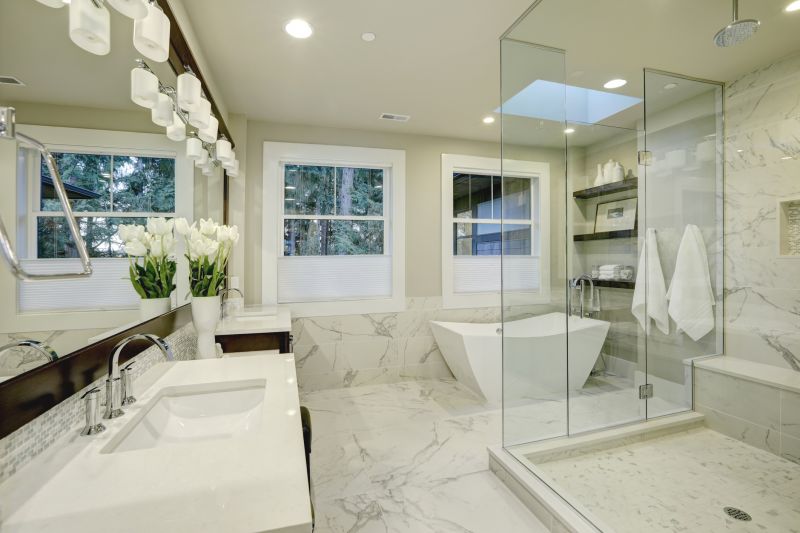 Bathroom Renovation Showcase